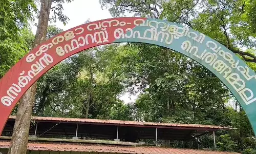 വായിൽ നിന്ന് നുരയും പതയും; കുരങ്ങുകൾ കൂട്ടത്തോടെ ചത്ത നിലയിൽ