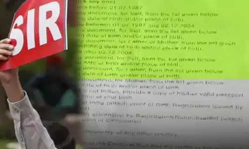 Questions regarding citizenship verification in SIR