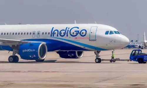 ലാൻഡിംഗിനിടെ വിമാനത്തിന്റെ എൻജിനിൽ പക്ഷി ഇടിച്ചു; ഒഴിവായത് വൻ ദുരന്തം