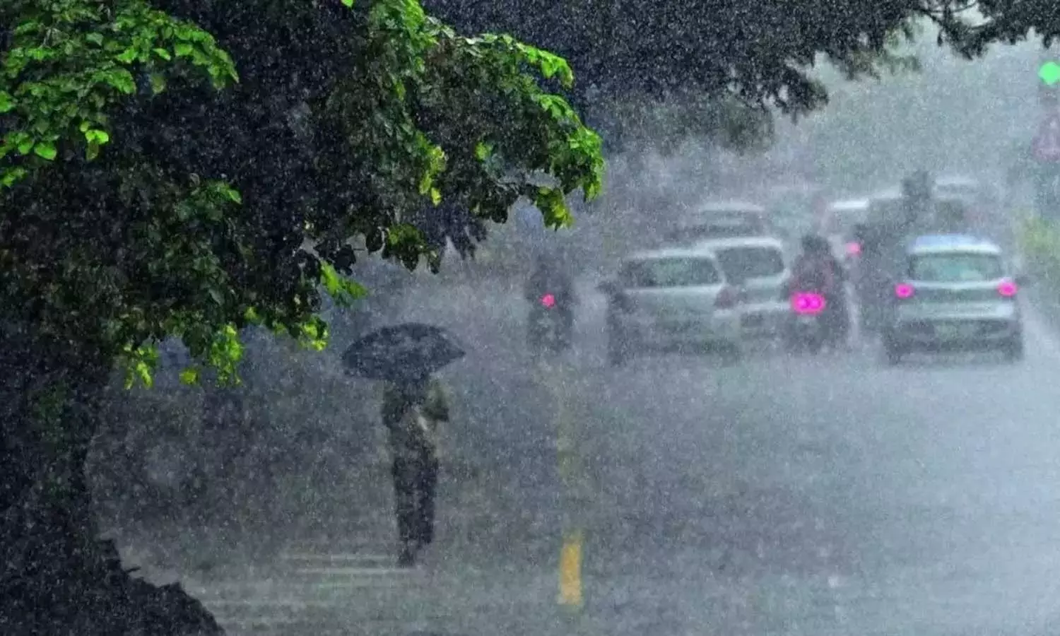 സംസ്ഥാനത്ത് മഴ കനക്കുന്നു; എട്ട് ജില്ലകളിൽ യെല്ലോ അലർട്ട്