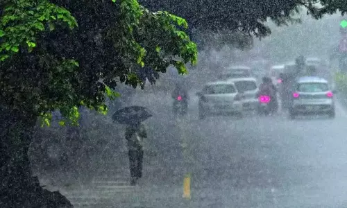 സംസ്ഥാനത്ത് മഴ കനക്കുന്നു; എട്ട് ജില്ലകളിൽ യെല്ലോ അലർട്ട്