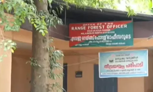Vigilance tightens inspections at Forest Department offices