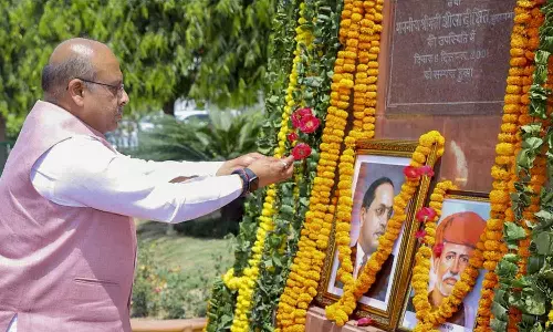 ഫുലെയുമായി ബന്ധപ്പെട്ട് പുതിയ പദ്ധതികൾ ആസൂത്രണം ചെയ്യാൻ സർവകലാശാലകൾക്ക് നിർദേശം