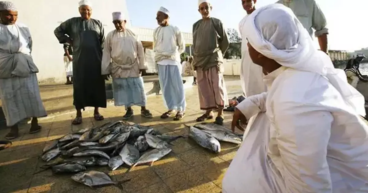 മത്സ്യബന്ധന മേഖലയിൽ ശ്രദ്ധേയമായ പുരോ​ഗതി കൈവരിച്ച് ഒമാൻ