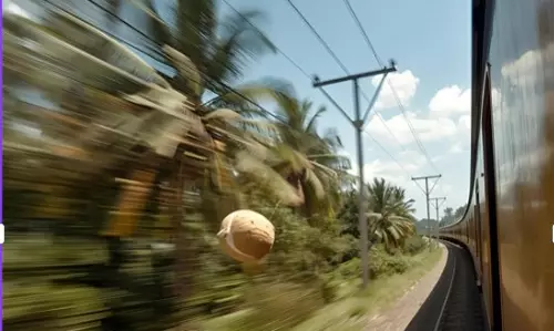 ട്രെയിനിൽ നിന്നും പുറത്തേക്കെറിഞ്ഞ തേങ്ങ വീണ് യുവാവിന് ദാരുണാന്ത്യം