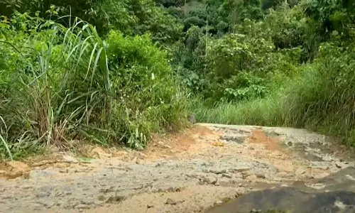 പൂഴിത്തോട്-പടിഞ്ഞാറെത്തറ ബദൽ പാത; ഏകോപനത്തിനായി നോഡൽ ഓഫീസർമാരെ നിയോഗിക്കും