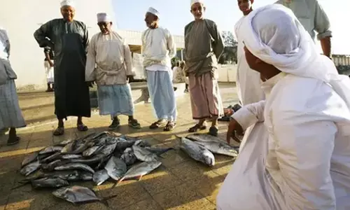 മത്സ്യബന്ധന മേഖലയിൽ ശ്രദ്ധേയമായ പുരോ​ഗതി കൈവരിച്ച് ഒമാൻ