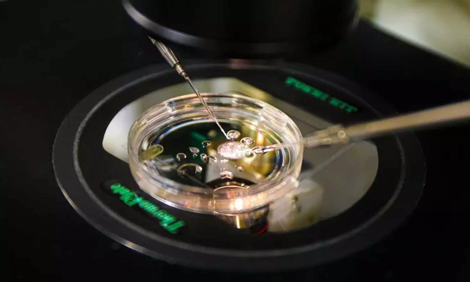 ചർമ്മ കോശങ്ങളിൽ നിന്നുള്ള ഡിഎൻഎ ഉപയോഗിച്ച് കൃത്രിമ ഭ്രൂണം നിർമിക്കാനൊരുങ്ങി ഗവേഷകർ