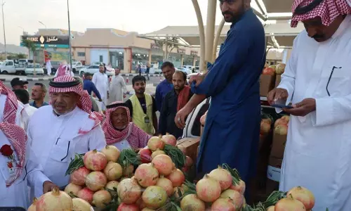 ത്വായിഫിൽ മുന്തിരി-ഉറുമാൻ ഉത്സവം