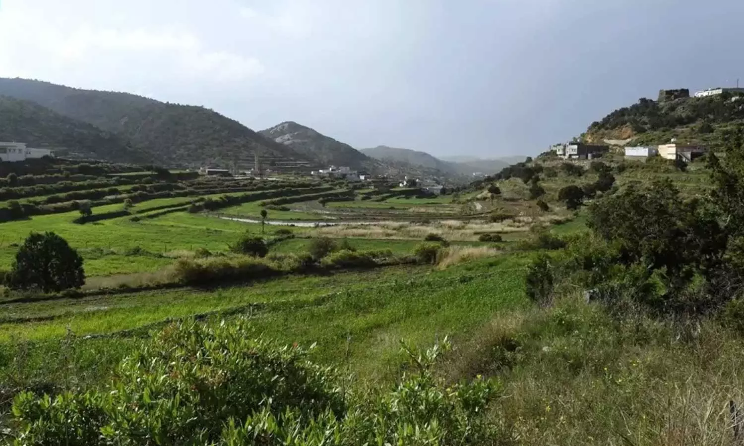 Heavy rains to continue in Jizan and Asir; Meteorological Center issues warning