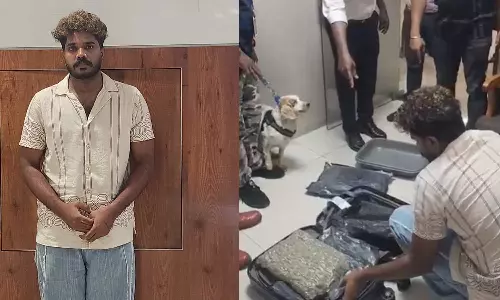 നെടുമ്പാശ്ശേരി വിമാനത്താവളത്തിൽ ആറുകോടി രൂപയുടെ ഹൈബ്രിഡ് കഞ്ചാവ് വേട്ട; ഫാഷന്‍ ഡിസൈനര്‍ പിടിയില്‍