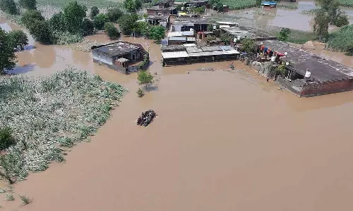 പഞ്ചാബ് പ്രളയം: 25 ശതമാനത്തിൽ താഴെ കൃഷിനാശമുണ്ടായ കർഷകർക്ക് നഷ്ടപരിഹാരം നൽകുന്നത് പരിഗണിക്കണം- ഹൈക്കോടതി