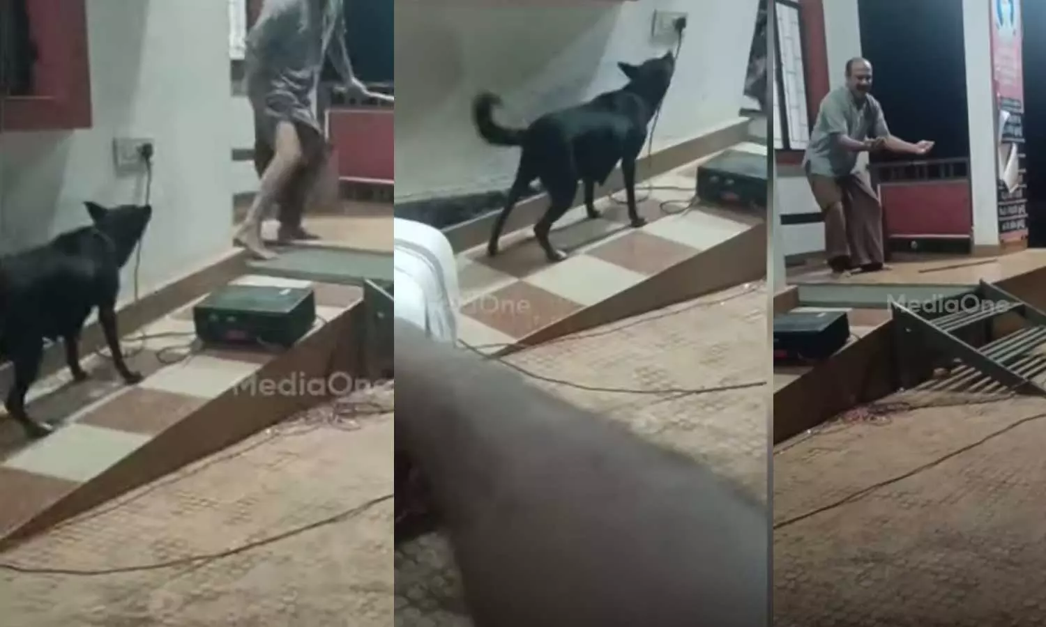 നാടകം നടത്തിയാലും ഞങ്ങൾ കടിക്കും...; തെരുവ്‌നായ ബോധവത്കരണത്തിനിടെ നാടക കലാകാരന് നായയുടെ കടിയേറ്റു