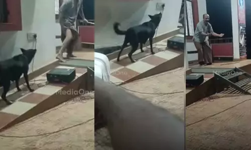 നാടകം നടത്തിയാലും ഞങ്ങൾ കടിക്കും...; തെരുവ്‌നായ ബോധവത്കരണത്തിനിടെ നാടക കലാകാരന് നായയുടെ കടിയേറ്റു