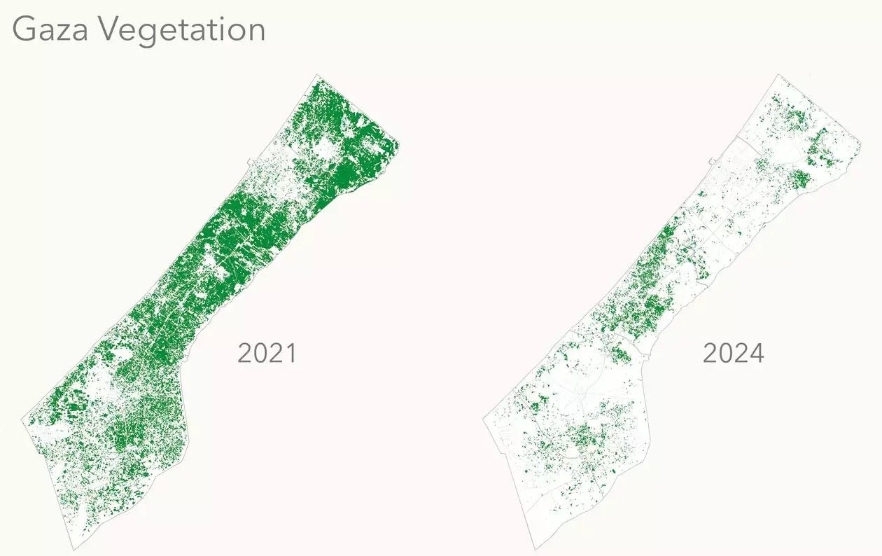 2021 ജൂണിലും 2024 ജൂണിലും ഗസ്സയിലെ പരിസ്ഥിതി