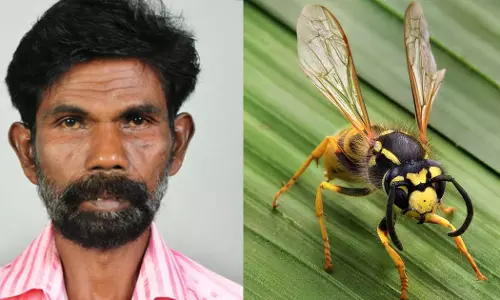 ആലുവയിൽ കടന്നൽ കുത്തേറ്റ് 68കാരൻ മരിച്ചു