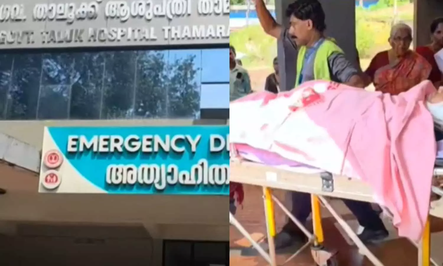 doctor attacked in thamarassery,Thamarassery Taluk Hospital, doctors protest,amoebic fever , Kozhikode