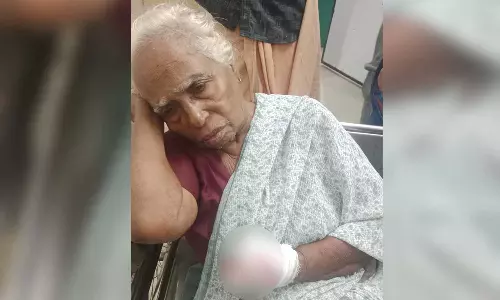 കൊല്ലത്ത് കാട്ടുപന്നി ആക്രമണം; വയോധികയുടെ വിരൽ കടിച്ചെടുത്തു