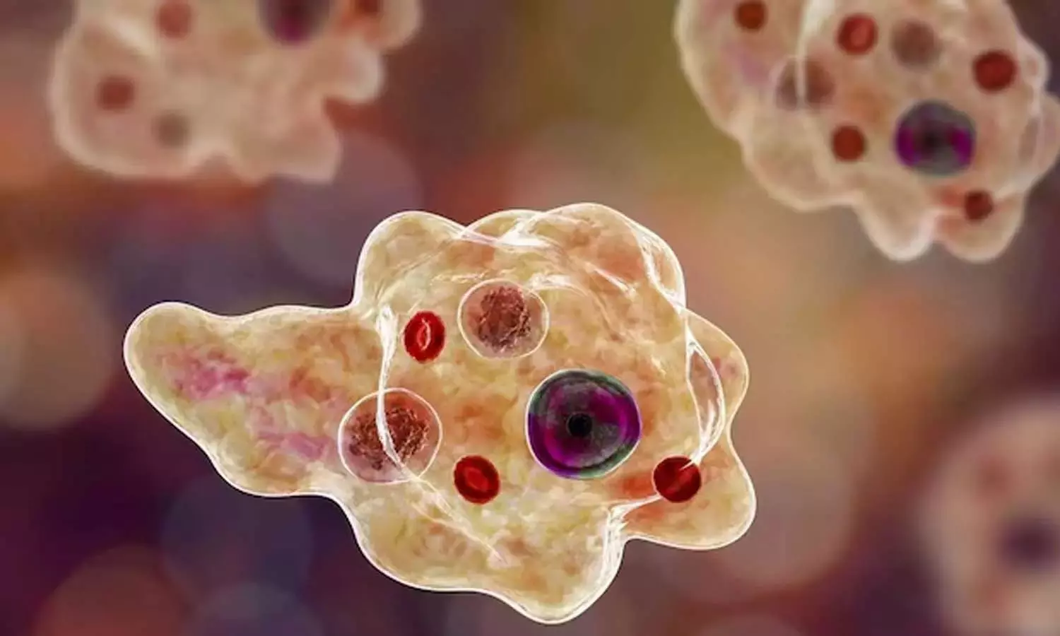 സംസ്ഥാനത്ത് വീണ്ടും അമീബിക്ക് മസ്തിഷ്ക ജ്വര മരണം സംസ്ഥാനത്ത് വീണ്ടും അമീബിക്ക് മസ്തിഷ്ക ജ്വര മരണം