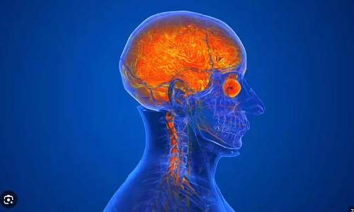 കൊല്ലത്ത് 62കാരിക്ക് അമീബിക് മസ്തിഷ്ക ജ്വരം സ്ഥിരീകരിച്ചു കൊല്ലത്ത് 62കാരിക്ക് അമീബിക് മസ്തിഷ്ക ജ്വരം സ്ഥിരീകരിച്ചു