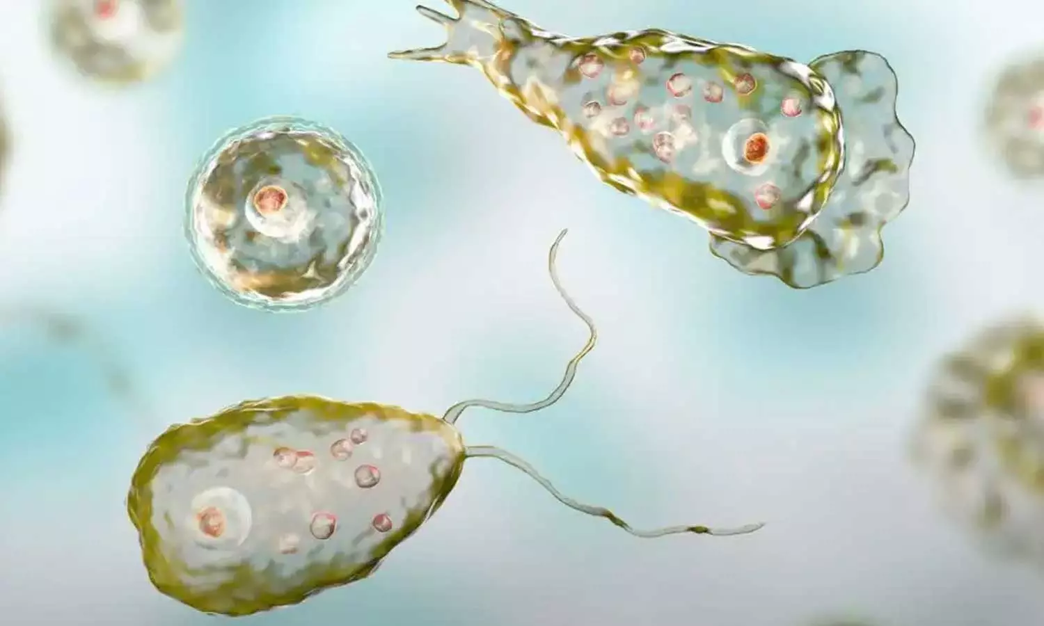 അമീബിക് മസ്തിഷ്കജ്വരം: മുപ്പതിലേറേ  പേർ ചികിത്സയിൽ; ഉറവിടം കണ്ടെത്താനാകാത്തത് ആശങ്ക