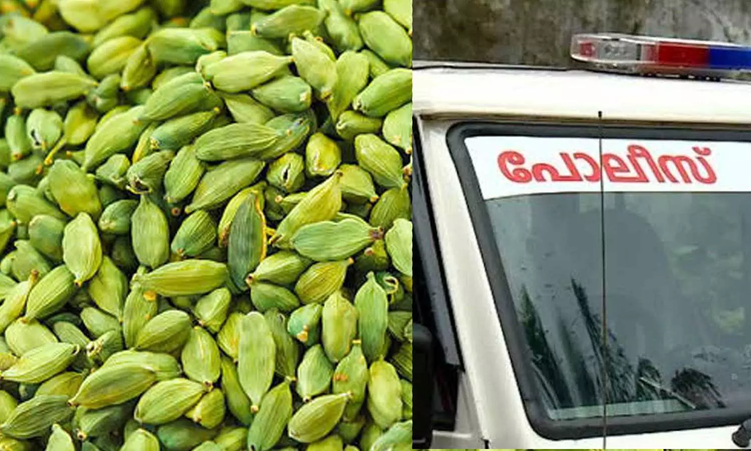 കുണ്ടന്നൂരില് തോക്ക് ചൂണ്ടി കവര്ച്ച: 14 ലക്ഷം രൂപക്ക് പ്രതികള് ഏലക്ക വാങ്ങി; തൊണ്ടിമുതല് പിടിച്ചെടുത്ത് പൊലീസ് കുണ്ടന്നൂരില് തോക്ക് ചൂണ്ടി കവര്ച്ച: 14 ലക്ഷം രൂപക്ക് പ്രതികള് ഏലക്ക വാങ്ങി; തൊണ്ടിമുതല് പിടിച്ചെടുത്ത് പൊലീസ്