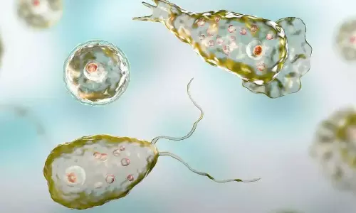 അമീബിക് മസ്തിഷ്കജ്വരം: മുപ്പതിലേറേ  പേർ ചികിത്സയിൽ; ഉറവിടം കണ്ടെത്താനാകാത്തത് ആശങ്ക