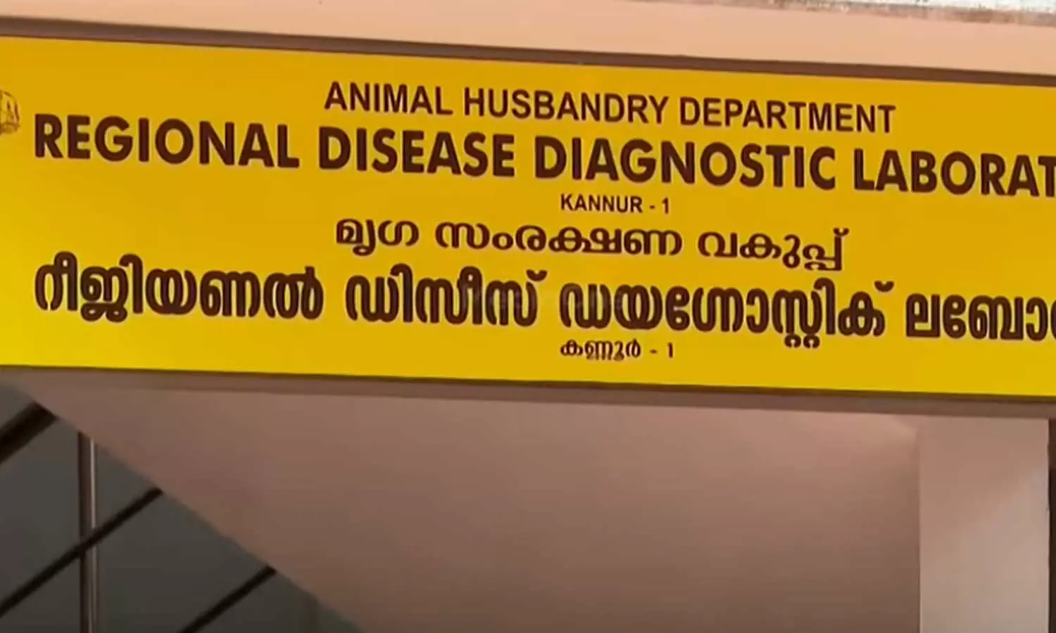പയ്യാമ്പലത്തെ ഡോൾഫിനുകളുടെ ജഡം; ചത്തത് ഗുരുതരമായ മുറിവുകളേറ്റെന്ന് പോസ്റ്റ്മോർട്ടം റിപ്പോർട്ട് പയ്യാമ്പലത്തെ ഡോൾഫിനുകളുടെ ജഡം; ചത്തത് ഗുരുതരമായ മുറിവുകളേറ്റെന്ന് പോസ്റ്റ്മോർട്ടം റിപ്പോർട്ട്