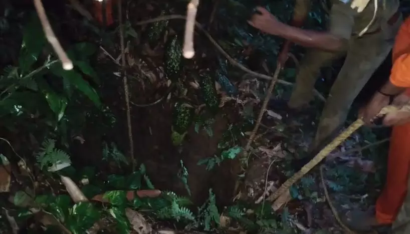 പുനലൂരിൽ കാണാതായ വയോധികയെ രണ്ട് ദിവസത്തിന് ശേഷം വീടിന് സമീപത്തെ കിണറ്റിൽ കണ്ടെത്തി