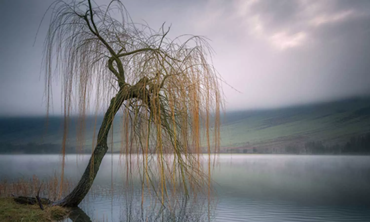 പ്രതീകാത്മക ചിത്രം Photo| MediaOne AI പ്രതീകാത്മക ചിത്രം Photo| MediaOne AI