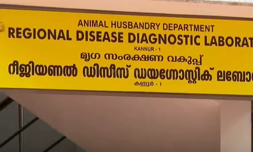 പയ്യാമ്പലത്തെ ഡോൾഫിനുകളുടെ  ജഡം; ചത്തത് ഗുരുതരമായ മുറിവുകളേറ്റെന്ന് പോസ്റ്റ്മോർട്ടം റിപ്പോർട്ട്