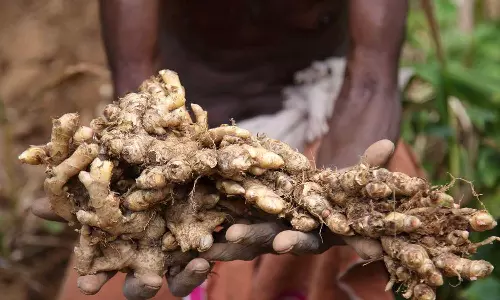 Photo Credit| Aswin V N