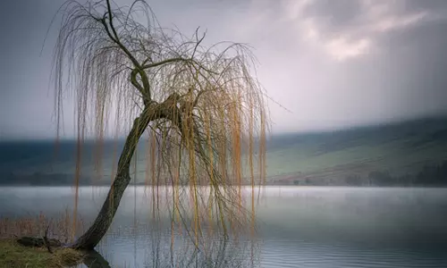 പ്രതീകാത്മക ചിത്രം Photo| MediaOne AI പ്രതീകാത്മക ചിത്രം Photo| MediaOne AI