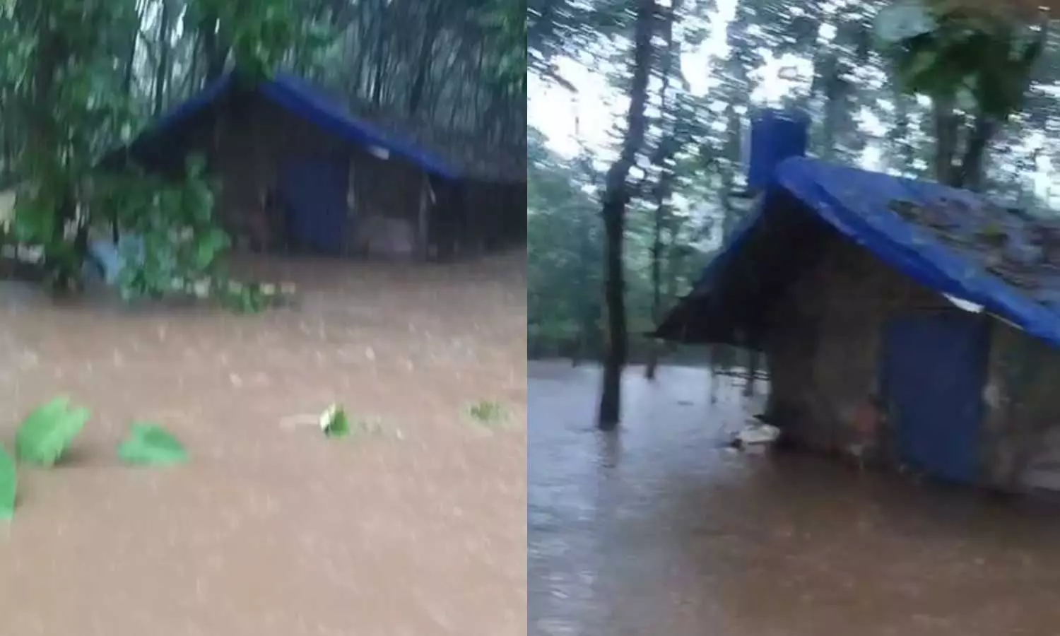 2000 chickens die in flood at Malappuram chicken farm