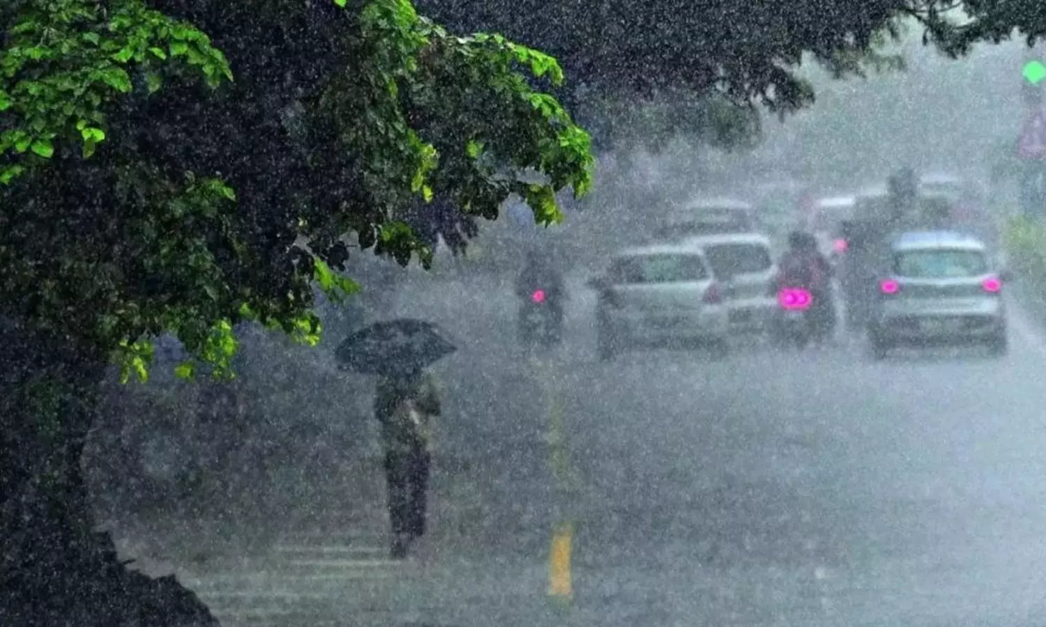 സംസ്ഥാനത്ത് ഇന്നും ശക്തമായി മഴ തുടരുന്നു.