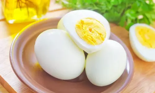 കുട്ടികള്‍  ​മുട്ട കഴിക്കുന്നില്ലേ...? പകരം കൊടുക്കാം ഈ ആറ് ഭക്ഷണങ്ങള്‍, പ്രോട്ടീനിന്റെ കാര്യത്തിലും പേടി വേണ്ട