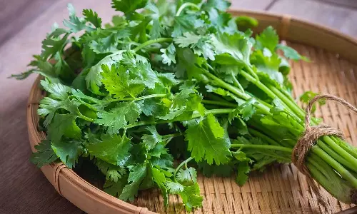 മല്ലിയില ഉപയോഗിക്കുന്നതിന് മുമ്പ് ഇങ്ങനെയാണോ വൃത്തിയാക്കാറ്?