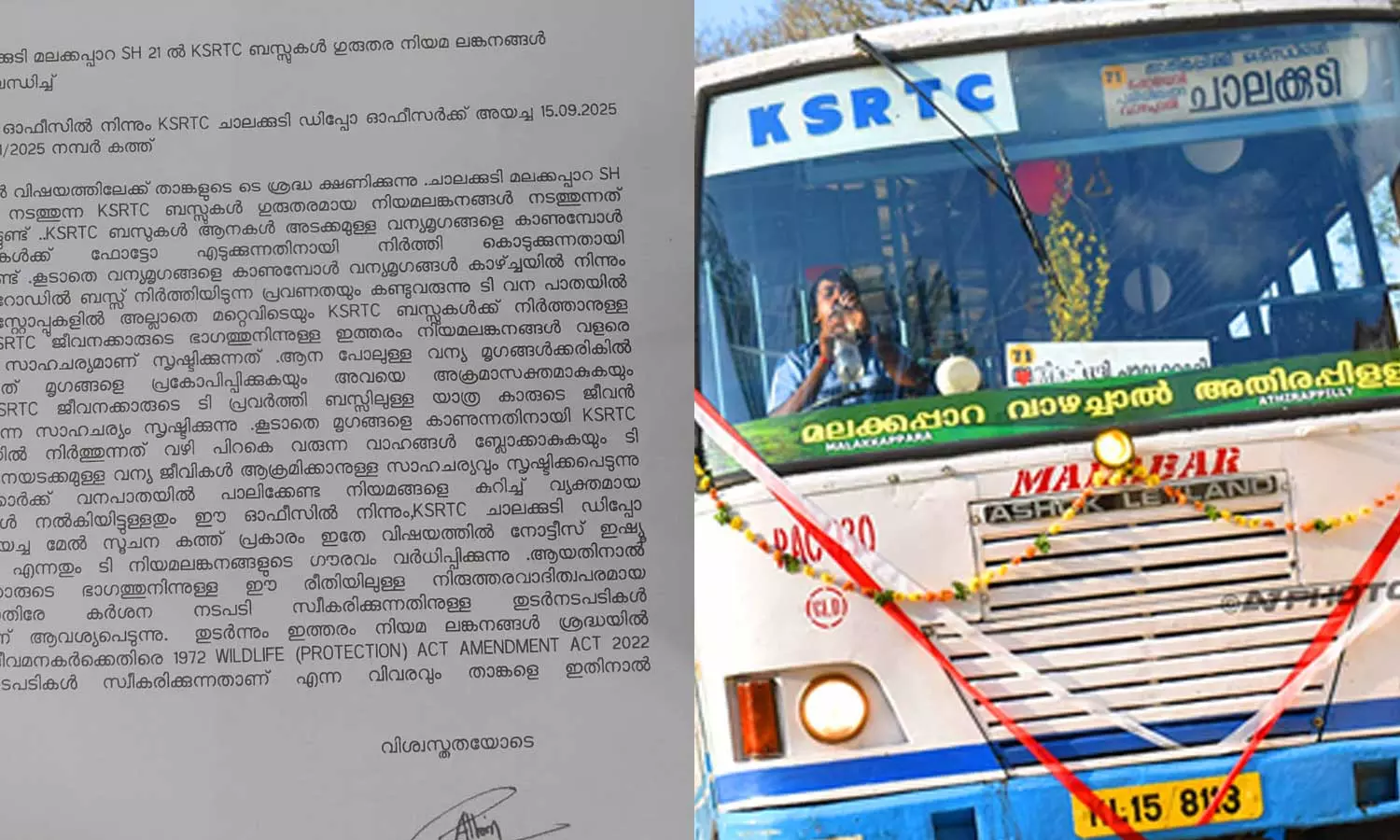 വന്യജീവികളുടെ ഫോട്ടോ എടുക്കാൻ ബസ് നിർത്തരുത്; കെഎസ്ആർടിസിക്ക്  വനം വകുപ്പിൻ്റെ മുന്നറിയിപ്പ്