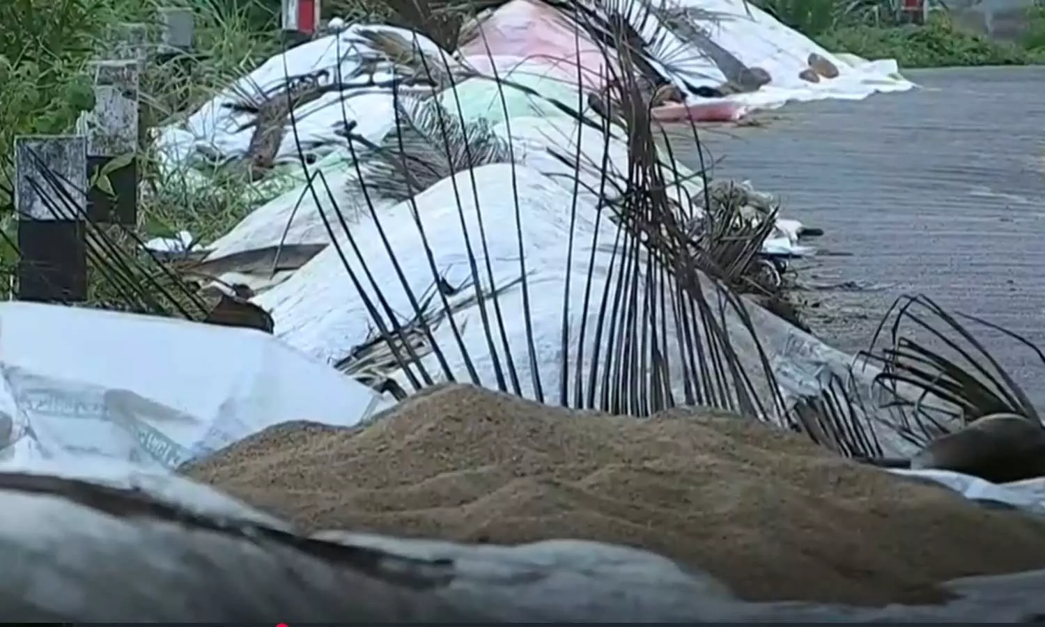 വിയർപ്പൊഴുക്കി നൂറുമേനി വിളയിച്ചെടുത്ത നെല്ല് വഴിയരികിൽ നശിക്കുന്നു; കണ്ണീരോടെ ആലപ്പുഴയിലെ കർഷകർ വിയർപ്പൊഴുക്കി നൂറുമേനി വിളയിച്ചെടുത്ത നെല്ല് വഴിയരികിൽ നശിക്കുന്നു; കണ്ണീരോടെ ആലപ്പുഴയിലെ കർഷകർ