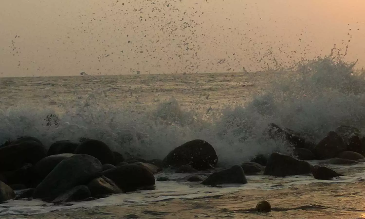 മീൻ പിടിക്കുന്നതിനിടെ വള്ളത്തിൽ നിന്ന് വീണ് മത്സ്യത്തൊഴിലാളി മരിച്ചു