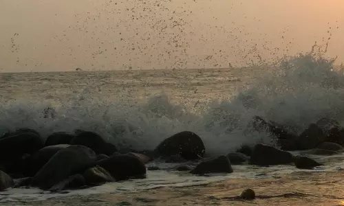 മീൻ പിടിക്കുന്നതിനിടെ വള്ളത്തിൽ നിന്ന് വീണ് മത്സ്യത്തൊഴിലാളി മരിച്ചു