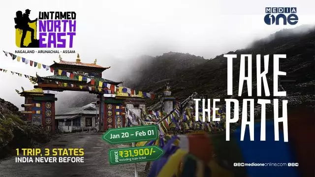 mediaone untamed north east