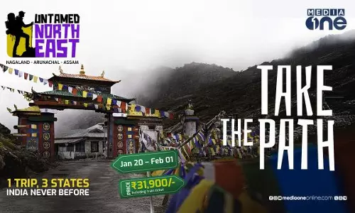 mediaone untamed north east