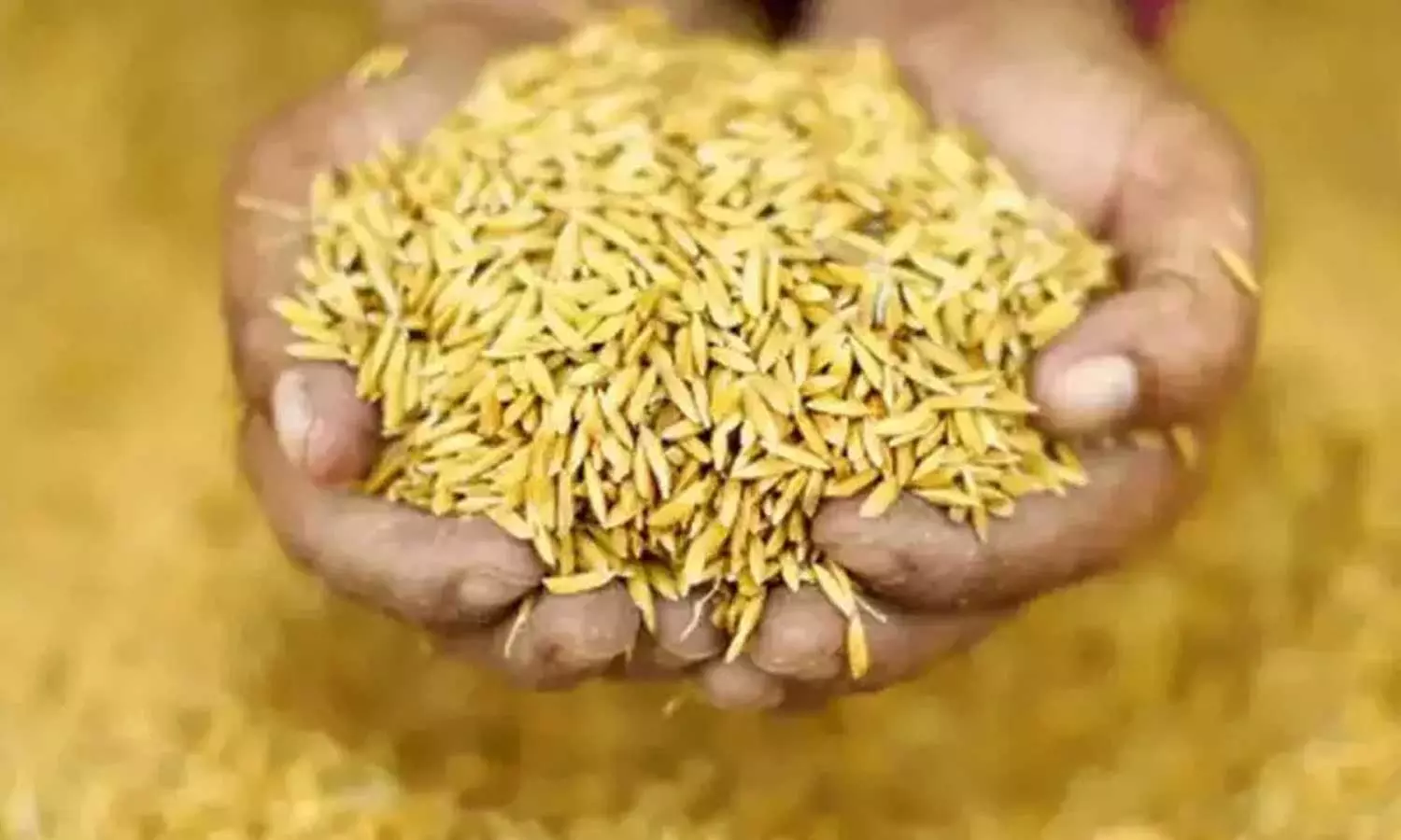 നെല്ല് സംഭരണത്തിലെ പ്രതിസന്ധി നീങ്ങുന്നു; സാമ്പത്തിക ബാധ്യത പരിഹരിക്കാമെന്ന് മില്ല് ഉടമകൾക്ക് മുഖ്യമന്ത്രിയുടെ ഉറപ്പ്