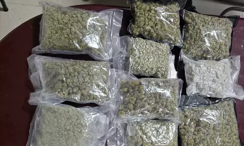 കരിപ്പൂർ വിമാനത്താവളത്തിൽ യാത്രക്കാരന്‍റെ ബാഗില്‍ നിന്ന് 3.98 കോടി രൂപയുടെ ഹൈബ്രിഡ് കഞ്ചാവ് പിടികൂടി