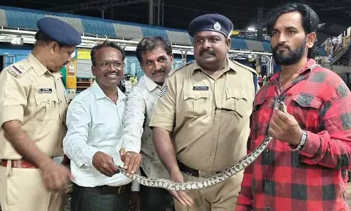 ട്രെയിനിലെ ശുചിമുറിയിൽ  പെരുമ്പാമ്പ്; പരിഭ്രാന്തരായി യാത്രക്കാർ