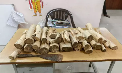 തിരുവനന്തപുരത്ത് ചന്ദനത്തടികളുമായി മൂന്നുപേർ പിടിയിൽ