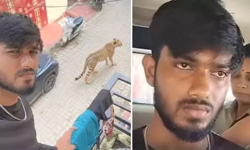 നഗരത്തിലിറങ്ങിയ പുള്ളിപ്പുലിക്ക് പിന്നിലെ യാഥാർത്ഥ്യമെന്ത് ?