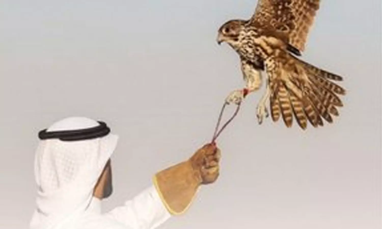 പരിസ്ഥിതിലോല പ്രദേശങ്ങളിൽ വേട്ടയാടുന്നവർക്ക് മുന്നറിയിപ്പുമായി കുവൈത്ത്