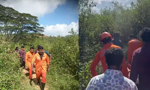 ഇടുക്കി കുട്ടിക്കാനത്ത് വിനോദസഞ്ചാരി തോട്ടിൽ വീണ് മരിച്ചു